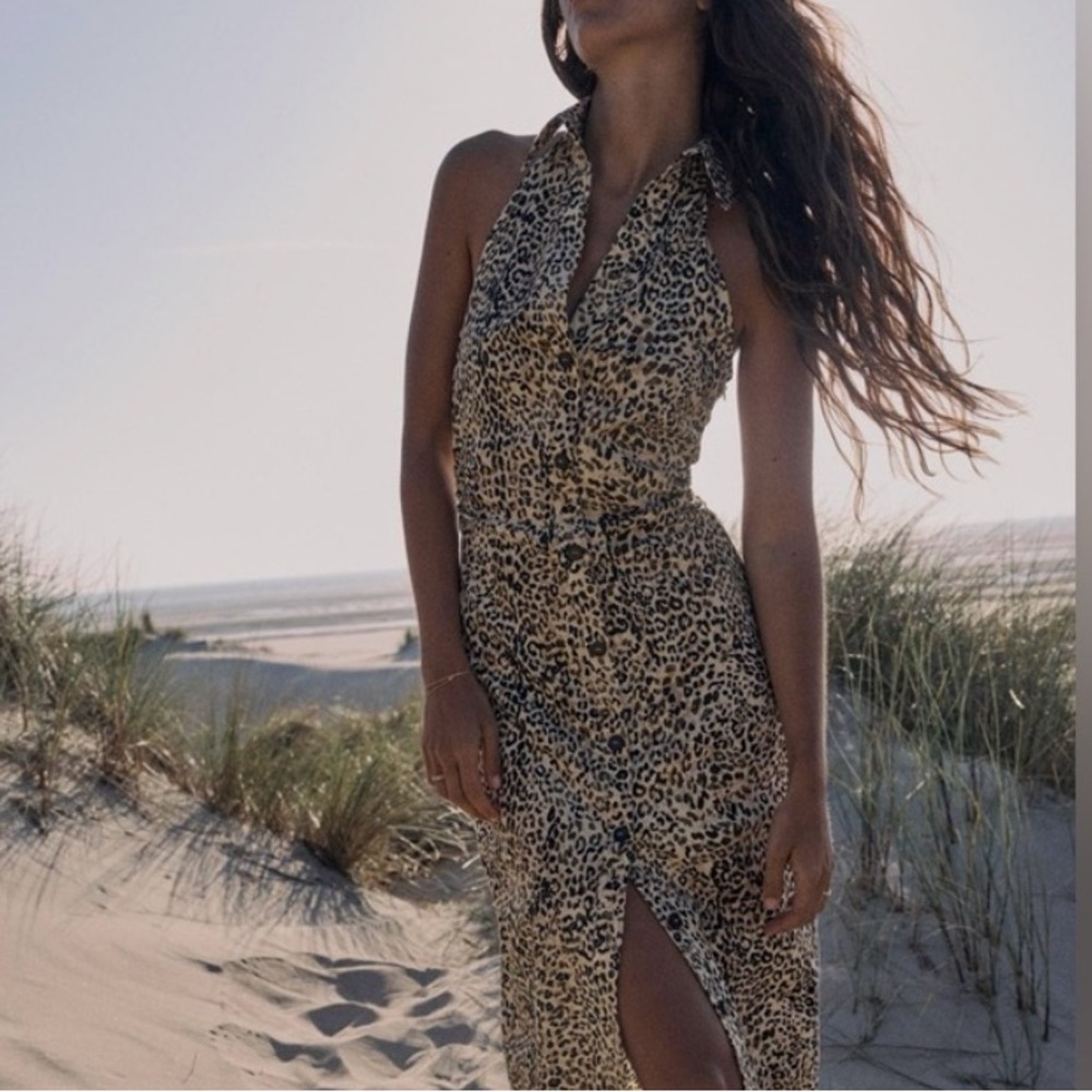 ZARA Leopard Dress